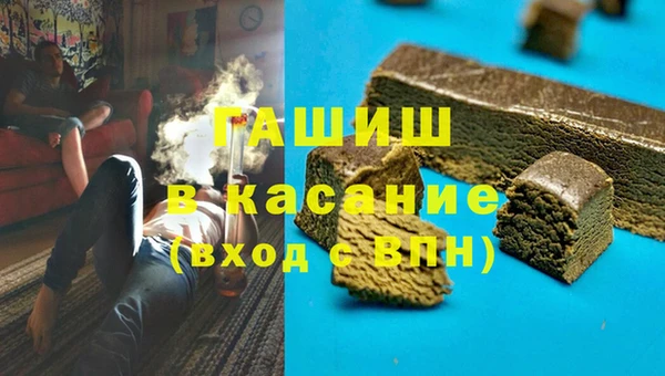 индика Бронницы